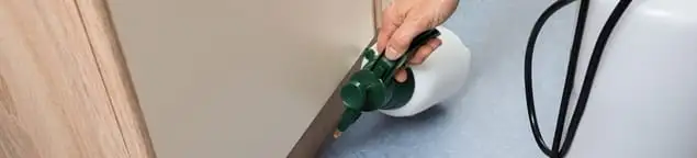 Bed bug exterminator treating baseboards and cracks with targeted spray in Huntsville, AL