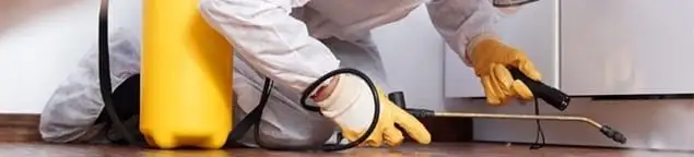 Roach exterminator treating cracks and crevices along kitchen baseboards in Huntsville, AL