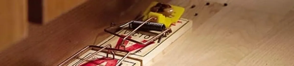 Rodent trap set indoors for rodent control and prevention in Huntsville, AL