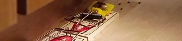 Rodent trap set indoors for rodent control and prevention in Huntsville, AL